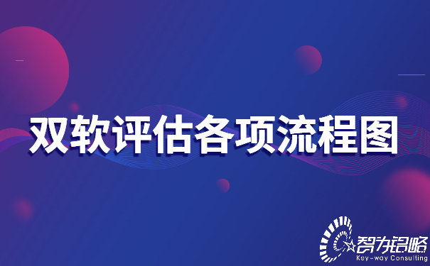 雙軟評(píng)估各項(xiàng)流程圖