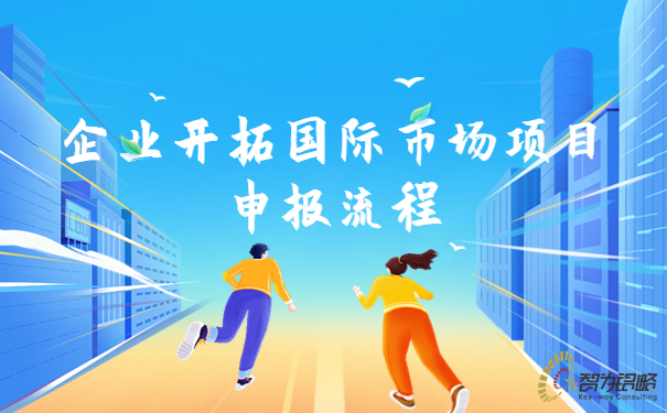 企業(yè)開拓國際市場項(xiàng)目咨詢流程.jpg