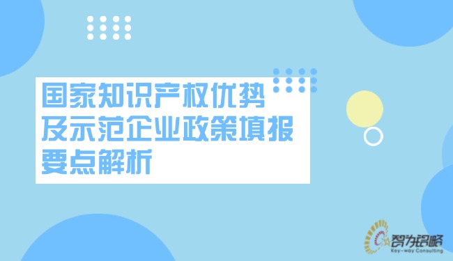 國家知識產權優(yōu)勢及示范企業(yè)政策填報要點解析.jpg