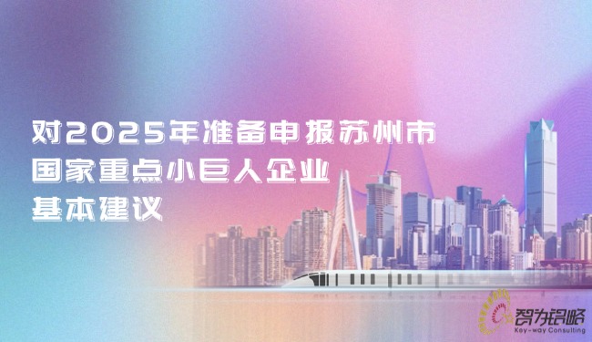 對2025年準(zhǔn)備申報蘇州市國家重點小巨人企業(yè)的基本建議.jpg