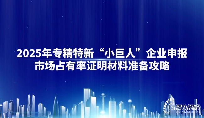 2025年專精特新“小巨人”企業(yè)申報(bào)市場占有率證明材料準(zhǔn)備攻略.jpg